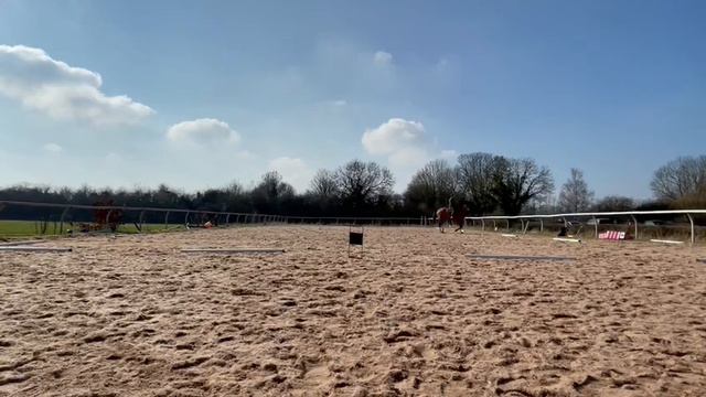 Molly Barker смотреть онлайн