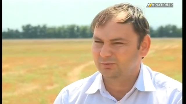 В Краснодаре наградили лучших работников города по уборке урожая смотреть онлайн