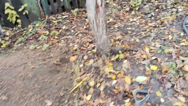 В поисках чистой воды смотреть онлайн