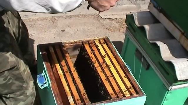 Отводок на маточнике тихой смены смотреть онлайн