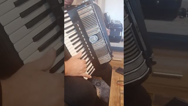 Harmonika Weltmeister S4 Generalno Sredena смотреть онлайн