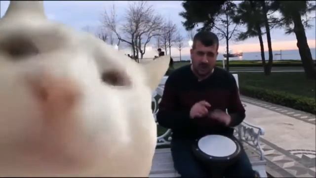 • Levan Polkka Remix (Mario$oro Remix). смотреть онлайн