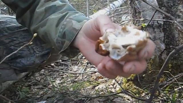 Тихая охота на строчки смотреть онлайн