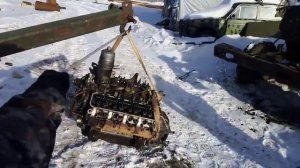 Обзор на стрелу Т-40
