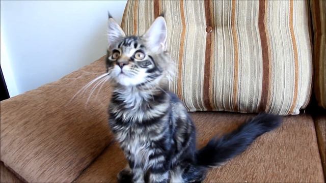 Ангелика 4 месяца смотреть онлайн