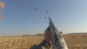 ТАКОГО НЕ ОЖИДАЛ... ЛУЧШИЙ МОМЕНТ ЗА ВСЮ ИСТОРИЮ МОЕЙ ОХОТЫ!!! Охота на  ГУСЯ!