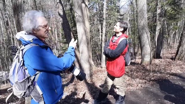 Орнитологическая экскурсия по Сергиевке с В.И.Голованем. Пищуха, поползень, зарянка и другие. смотреть онлайн