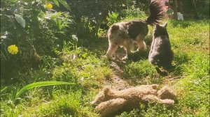 Миш, ты спишь?