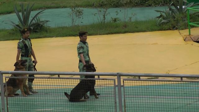 Shenzhen Private Guide Video Shenzhen Safari Park & Shenzhen Window Of The World