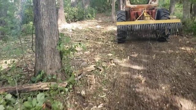 Brush Clearing With Dr Field And Brush Cutter