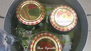 Рецепт просят все! Маринованные огурцы сухой стерилизации на зиму просто чудо! Хрустящие, ароматные