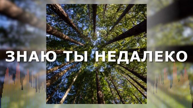 Христианские Песни - Знаю Ты недалеко - Даша Яловец смотреть онлайн