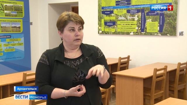 Искусство и Таланты