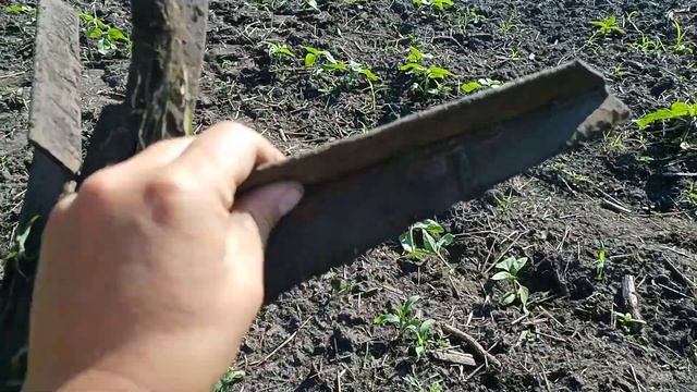 Удосконалення прополочного культиватора власними руками. Перша прополка соняха після ливнів. смотреть онлайн