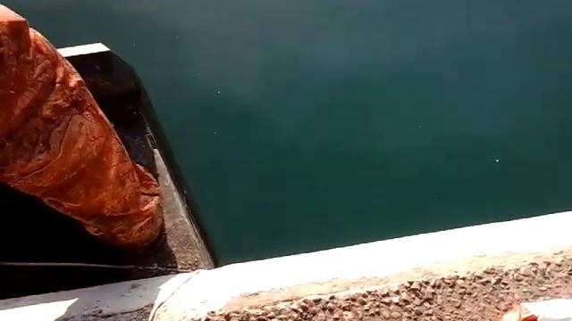 Рыбалка в Сочи морской порт (лобанчик) смотреть онлайн