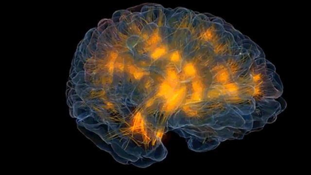 Улучшение активности мозга смотреть онлайн