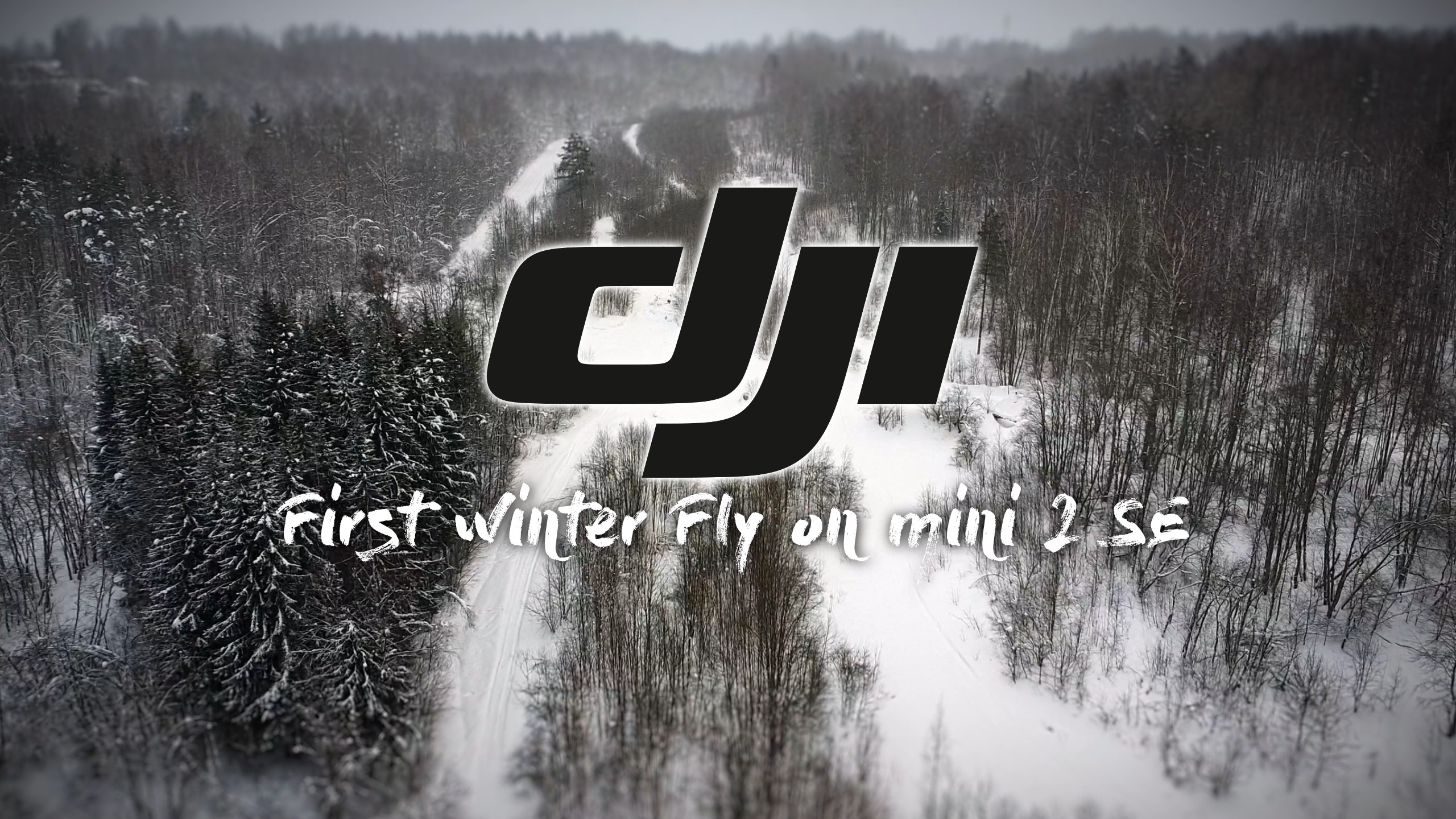 Dji Mini 2 SE Первый зимний полёт #dji #djimini2 #djimini2se А снег идёт...