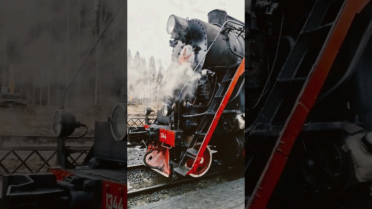 Рускеальский экспресс #жизньвовремяпутешествий #песковыпутешествуют #рускеала#карелия2024 смотреть онлайн