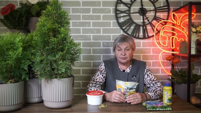 ВАЖНО! Чем болеет ваша туя ✔️Готовим тую к зиме ✔️ КОНКУРС НАЙДИ СЛОВО смотреть онлайн