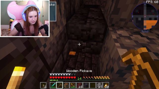 ESSE MOB DO MINECRAFT NÃO DEVERIA EXISTIR - Cherrycraft #9 смотреть онлайн