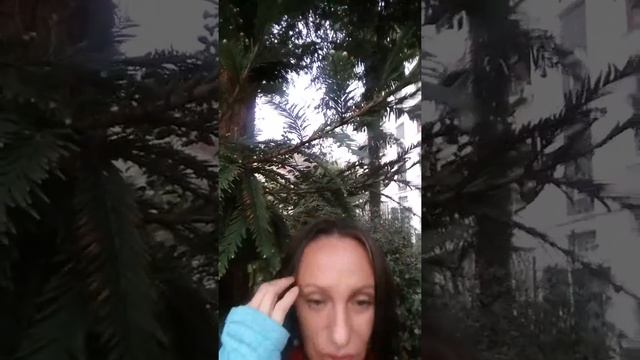 Масло для роста волос смотреть онлайн