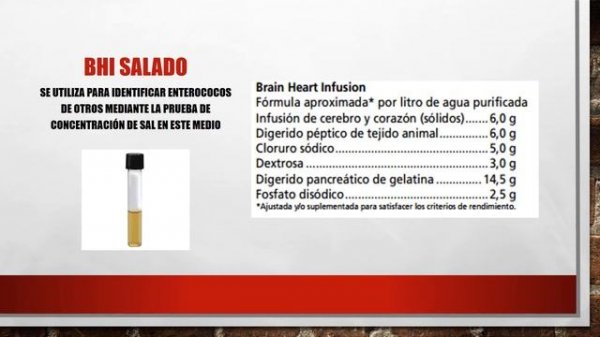 Enterococcus faecalis