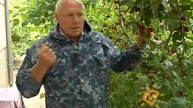Кизил 2 смотреть онлайн
