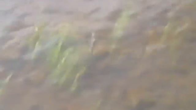 Нарва.Narva. смотреть онлайн