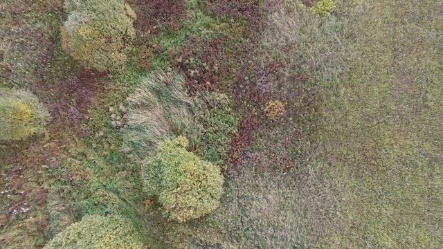 3. Осмотр поля, поиски человека. Квадрокоптер DJI Phantom 3 Professional 4K смотреть онлайн