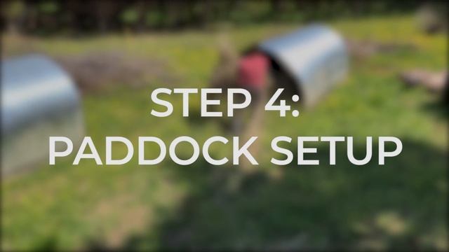 Pig Farm Training: Moving Pigs to Pasture смотреть онлайн