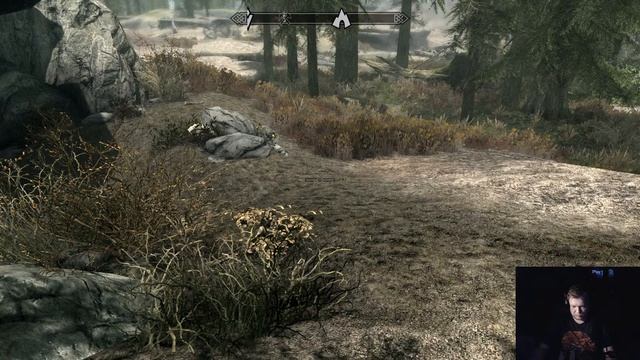 Вечерний игровой фурри-стрим. Skyrim. Похождения кота-волшебника. смотреть онлайн