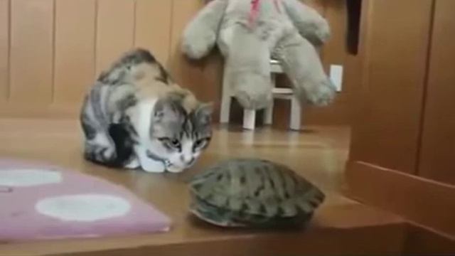 Моя любимая песня для друзей!