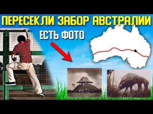 ✅ Фото за забором Австралии