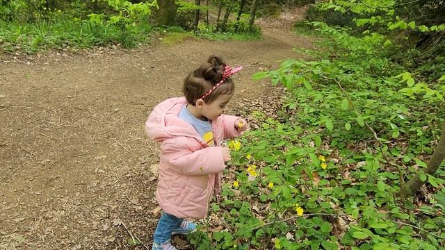 ДЕНЬ УДАЛСЯ/ПОШЛИ В ПОХОД/В ПЕРВЫЙ РАЗ В ЭТОМ МЕСТЕ/ВЛОГ АЙА АЛИСА смотреть онлайн