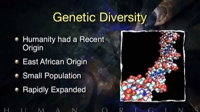 The Great Debate: Creation, Evolution, or Both? смотреть онлайн