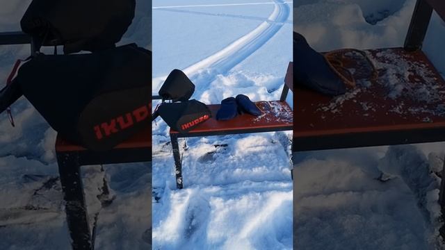 Обзор мотобуксировщика IKUDZO. смотреть онлайн