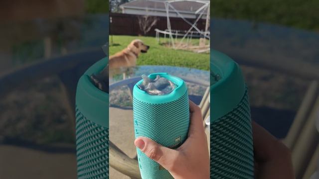 JBL Charge 5(NT) Slime Bass Test смотреть онлайн