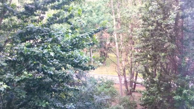 Всем доброго и прекрасного утра и отличного солнечного настроения море улыбок и позитива смотреть онлайн