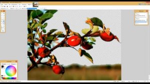 Paint Net. Меняем фон картинки на прозрачный