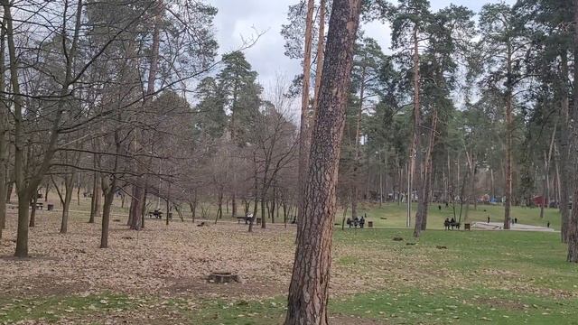 Этот стих укажет вам ,где найти ПОКОЙ!!! смотреть онлайн