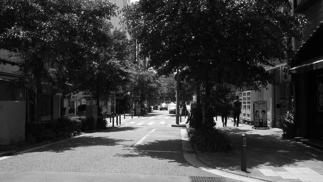 Panasonic GX80(GX7MarkⅡ) L.Monochrome 4K video test SUMMILUX 15mmF1.7 смотреть онлайн