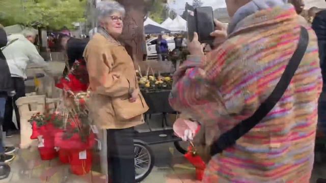 Diá de Sant Jordi,en Barcelona (Saint George’s Day) смотреть онлайн