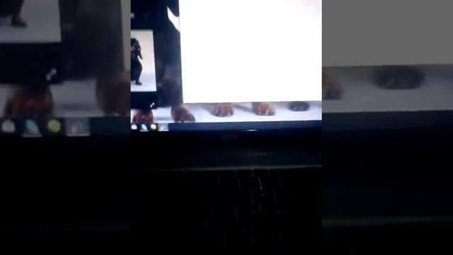 Как сделать на компьютер заставку!