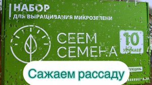 Сеем семена микро зелени!!!