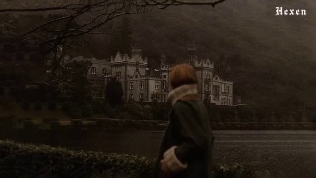 I wish that you were my soul's last dream ( dark academia playlist ) смотреть онлайн