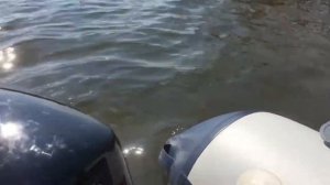 Самый первый запуск лодочного мотора Marlin 9.8 2т