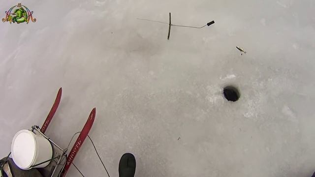 Зимняя рыбалка.ТРОФЕЙНАЯ ЩУКА ! смотреть онлайн