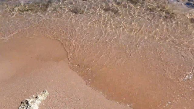 Обзор за 10 минут. Grand Oasis Resort. Стоит своих денег. Шарм-эль-Шейх. Египет. 2020