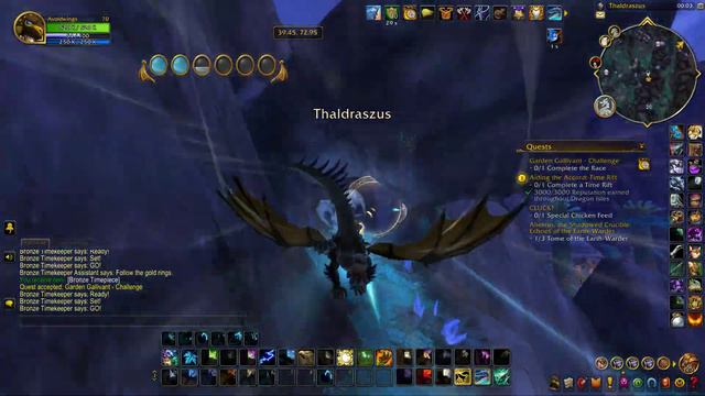 Wow Thaldraszus Race Course Garden Gallivant Challenge Gold смотреть онлайн