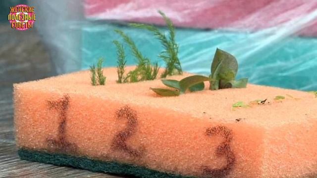 Всегда считала, что губкой можно только посуду мыть, а потом посмотрела, что с ней делает свекровь! смотреть онлайн